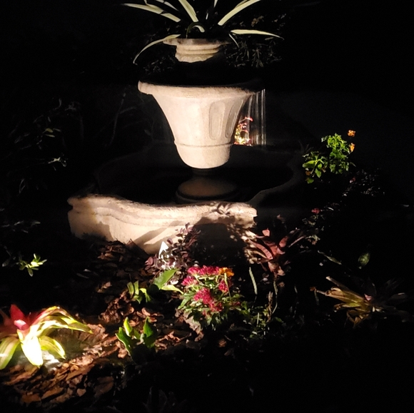 Meet your Posher, Charisse - Picture 1 of 1